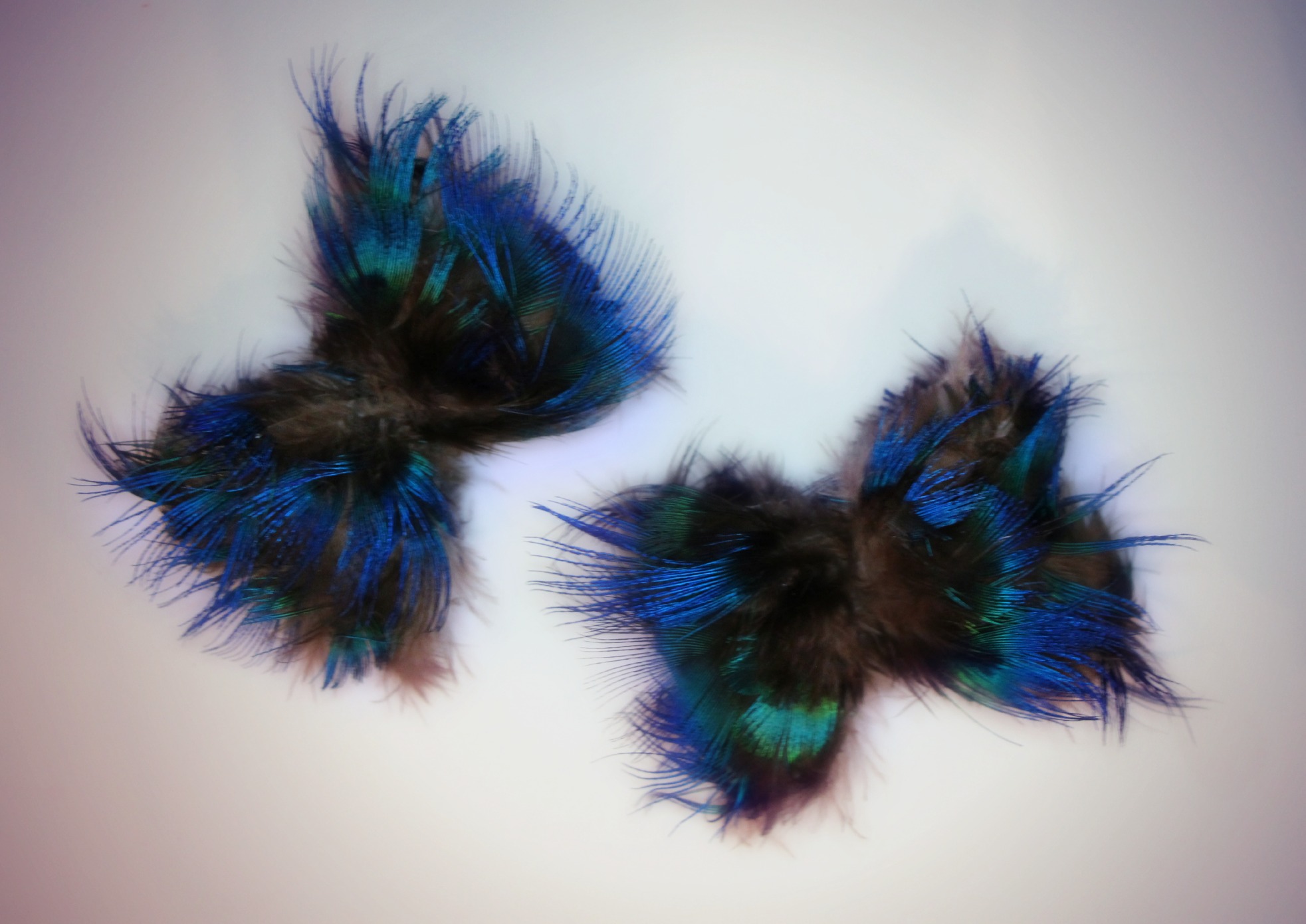 peacock feather shoe clips